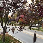 Kelly Downs - @kellyannedowns - Instagram