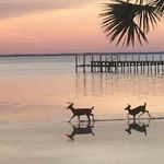 Kelly Elder - @kelly.elder.315 - Instagram