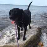 Kelley Flood - @kelleylmsw62 - Instagram