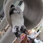 Kelley Fry - Facebook