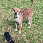Christy Gentry Kelley - @kelleychristygentry - Instagram