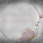 haley kelley - @haleykelleys_photography - Instagram