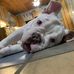 Kelley Hendrixson - Facebook
