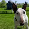Kelley Howell823 - @kelleyhowell823 - TikTok