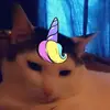 Kelley Howell - @kelley.howell5 - TikTok