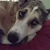 Kelley Ingram - @kelley.ingram - TikTok