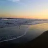 Kelly Jarmon - @kelly.jarmon - TikTok