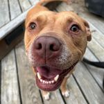 Kelley Kemp - @txhoos - Instagram