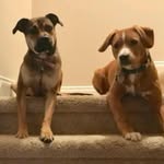 Kelly Kirkpatrick - @kkirkpatrick244 - Instagram