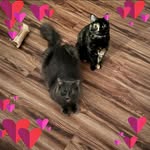Kelley Mann - @no_b.s._ - Instagram