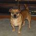 Kelley Mann - Facebook