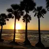 Kelly Masters - @kellymasters65 - TikTok