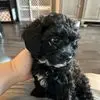 Kelly Masters - @kelly.masters2 - TikTok