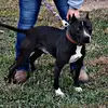 circleMkennels - @jessiekelleymaynard - TikTok