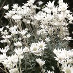 Kelley Mills-Annett - @kelley_millsannett - Instagram