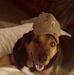 Kelley Morgan - Facebook