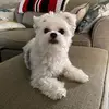 Kelley Patrick780 - @kelleypatrick0 - TikTok