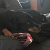 Patrick Kelley - @patrick.kelley.14 - TikTok