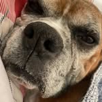 Kelley Johnson-Powers - @librarianpowers - Instagram