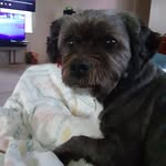 Kelley Marie Powers - @kelleypowers64 - Instagram