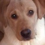 Kelley Powers - @powerskelley - Instagram