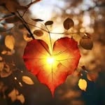 Kelly Powers - @kelly.powers.intuitive - Instagram