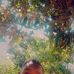 Kelly Ray - Facebook