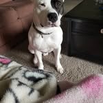 Kelley Reeder - @kelley.reeder.04 - Instagram