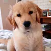 kelley - @kelleyreid_1984 - TikTok