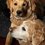 Kelley Reid - @kelley_reid_cfp - Instagram
