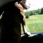 Kelley Reid - @luckyduck1326 - Instagram