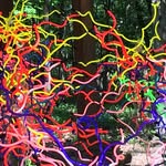 Kelley Steib Reid - @reid.kelley - Instagram