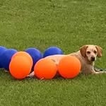 Kelley Harrelson Roach - @sroach2003 - Instagram