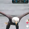 Kelley Schmidt - @kelley.schmidt8 - TikTok