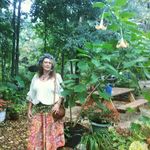 Kelley Shields - @crystalsoulwatcher - Instagram