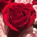 Kelly Small - Facebook