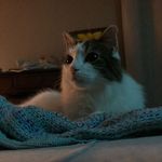 Kelley Snyder - @kelley_something_or_other - Instagram