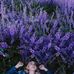 Kaila Soellner - Facebook