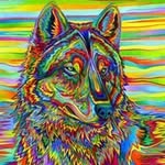 Tanner Kelley - @tanner_kelley72 - Instagram