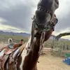 tannerkelley332 - @tannerkelley332 - TikTok