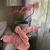 tannerkelley6 - @tannerkelley6 - TikTok