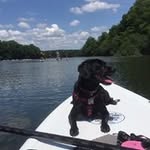 Terry Kelley - @kelley_terry - Instagram
