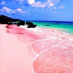 Kelley Townsend - @kelley8142 - Instagram