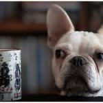kelley tyson - @keleyt6 - Instagram