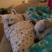Kelly Wagoner - Facebook