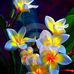 Kelley Ward - Facebook
