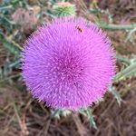 Kelley Lynn Hennigan Waters - @henniganwaters - Instagram