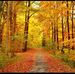 Kelley Williamson - Facebook