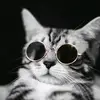 kelley_williamsonrud - @kelley_williamson - TikTok