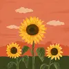 kelley wolfkiel - @kelley.wolfkiel - TikTok
